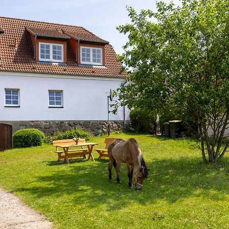 Ferienwohnung "Flori'S Ponyhof" Kröpelin エクステリア 写真