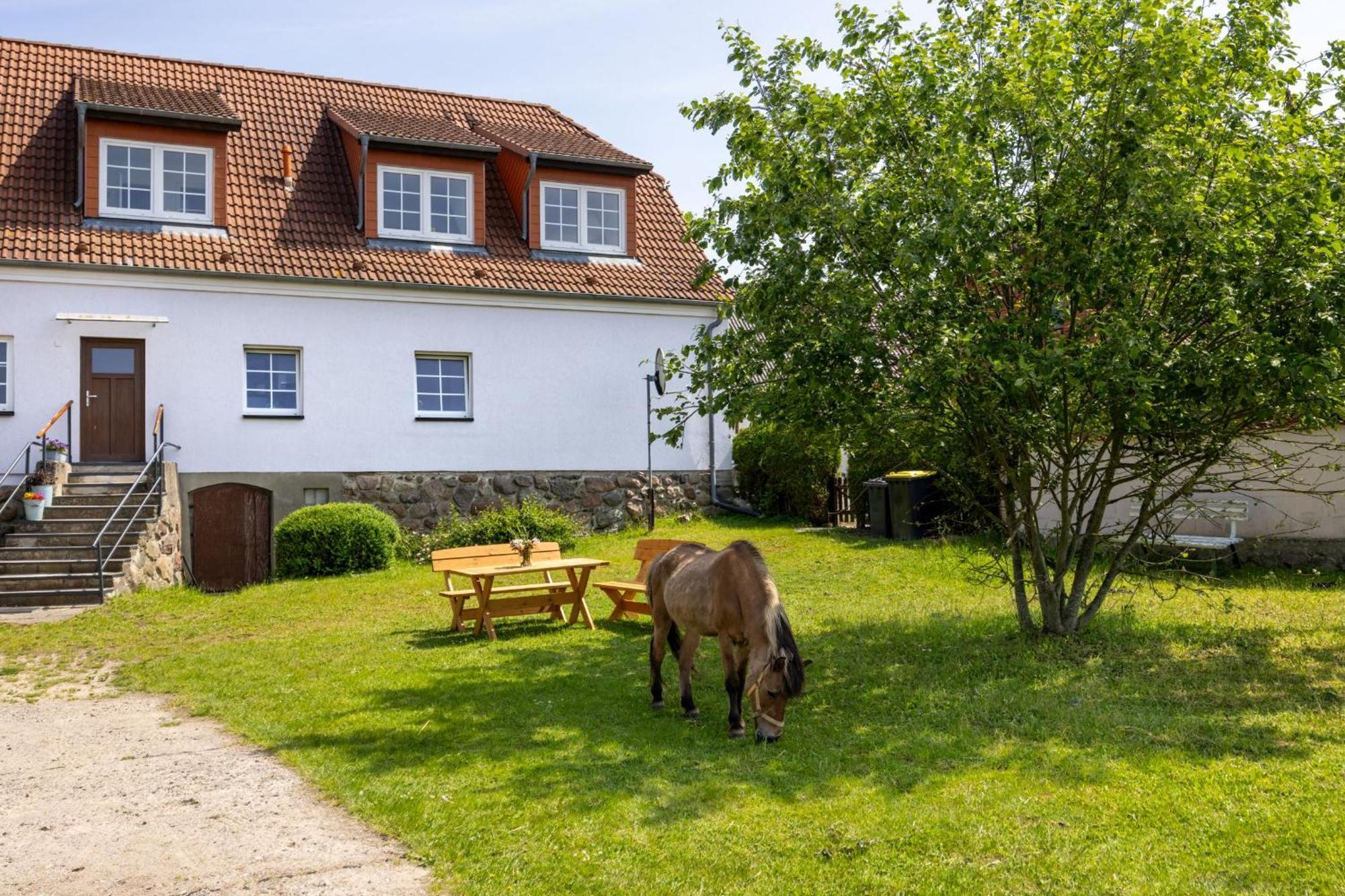 Ferienwohnung "Flori'S Ponyhof" Kröpelin エクステリア 写真